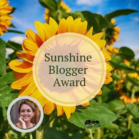 Sunshine Blogger Award, creative, inspiring, talented, entertaining, network of bloggers, like-minded people