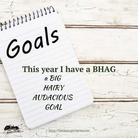 my BHAG, big, hairy, audacious goal, setting a BHAG, does it scare you, setting goals that scare you, taking on a huge project, translation projects, publishing a book, ups and downs, mBraining, why do this